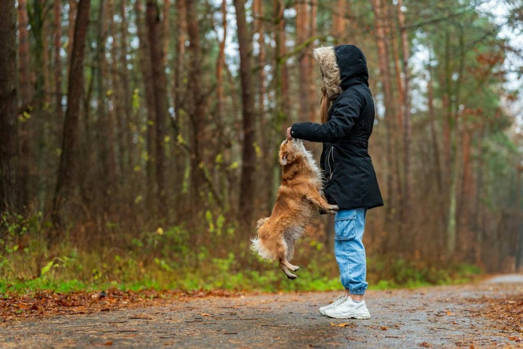 Unlocking the Power of Mindfulness: A Journey to Inner Peace